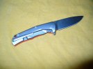 Lion Steel TRE (2).jpg