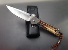 Stag Sebenza, 1.jpg