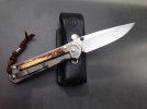 Stag Sebenza, 2.jpg