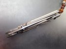 Stag Sebenza, 6.jpg