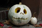 albino pumpkin.jpg