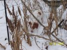 100_2852.jpg