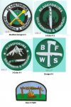 BFWS Patches.jpg