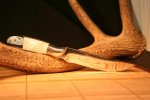 IMG_4365.JPG