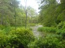 DSC00473.JPG