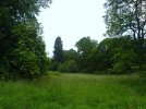 DSC00455.JPG