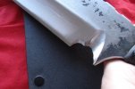 Siegel Derespina 029.JPG