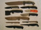 Busse Collection.jpg