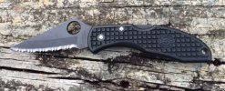 SPYDERCO DELICA #1.jpg