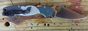 Punisher PM2 R.jpg