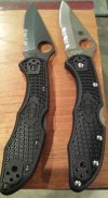 Delica 4.jpg