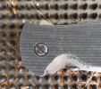 Sheepdog Flipper.jpg
