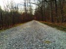 ImageUploadedByTapatalk1450655148.634180.jpg ImageUploadedByTapatalk1450655148.634180.jpg