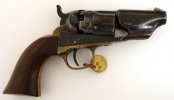 colt.jpg