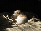 IMG_3910.jpg