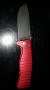 lionsteel1.jpg