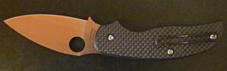 Spyderco Sage1.jpg