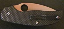 Spyderco Sage.jpg
