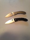 spydie 2.jpg spydie 2.jpg