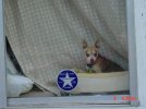 DSC01326.jpg