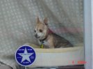 DSC01327.jpg