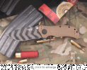 ZT 302 2.gif