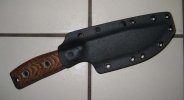 sar5a.jpg