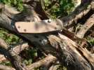 Ktint's Rebuilt 881 Buck Strider w talonite blade and new body 007.jpg