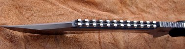 g sawteeth 1.JPG