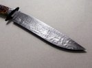 MS-gill-5.jpg