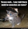 Lol-Cats-Part-27-Pics-17.jpg