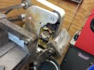rabbit20160131_104816.jpg