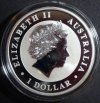 2015 Koala reverse.jpg