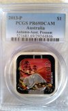 20160206_103528 possum.jpg