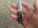 bladeforums23 004ps.jpg