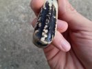 bladeforums23 008.jpg