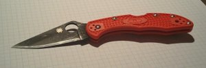 Delica4 1.jpg