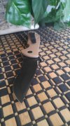 20160305_130846.jpg
