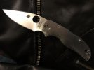 Spyderco Native Fluted Ti Front Side.jpg