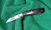 Blackwood Coyote Mark Side.1.jpg