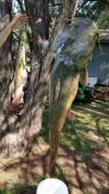 2016-03-21 07.55.36.jpg