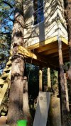 2016-03-21 08.05.15.jpg