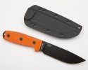 ESEE4-C.jpg