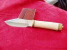 eBay 4-28-2008 halleys comet case 005.jpg
