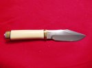 eBay 4-28-2008 halleys comet case 013.jpg