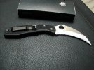 Spyderhawk_1a.jpg