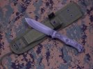FG1 &Blackhawk sheath.jpg
