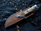 sheath.jpg