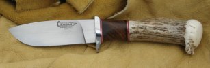 picresized_antler1.jpg