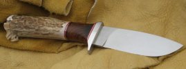 picresized_antler3.jpg